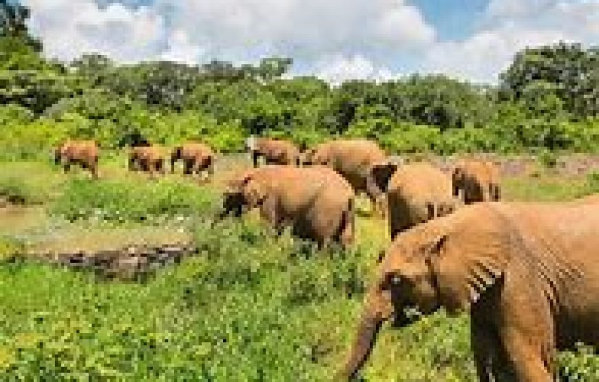 7 Days / 6 Nights Samburu, Lakes Baringo