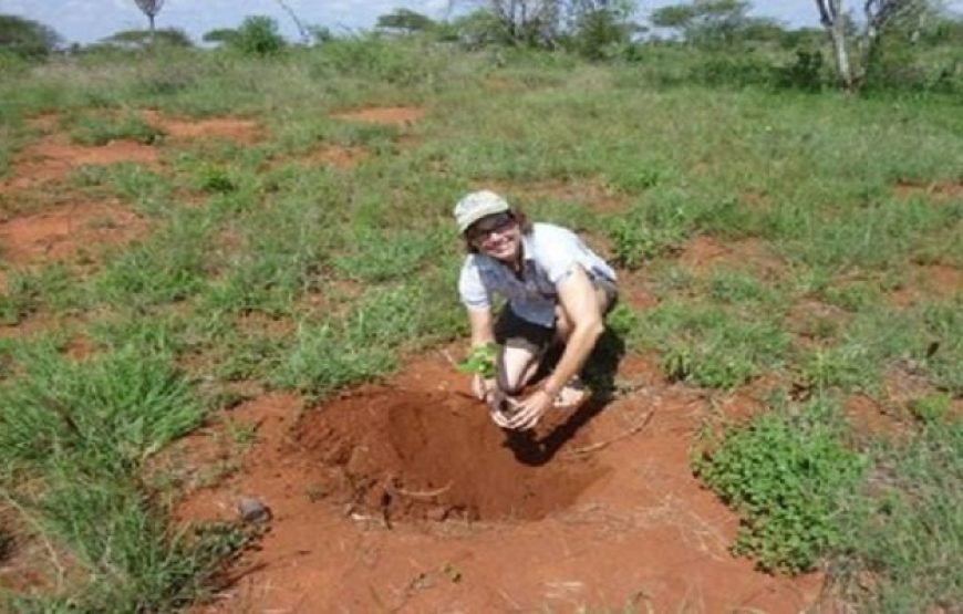 Volunteer in Environment Conservation, Likoni,South Coast – Starting 2 Wks