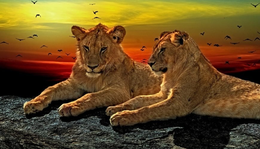 Top Ten Tourist Attractions to Visit in Kenya