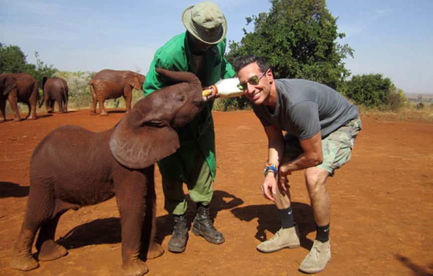 8 Days / 7 Nights Kenyan Family Safari Holiday