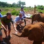 Family-Friendly Safaris: Unforgettable Adventures for All Ages