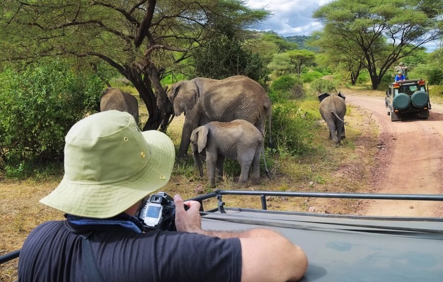 Lake Manyara National Park Day Trip