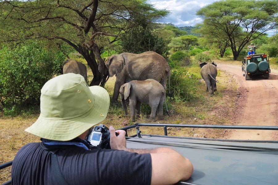 Lake Manyara National Park Day Trip