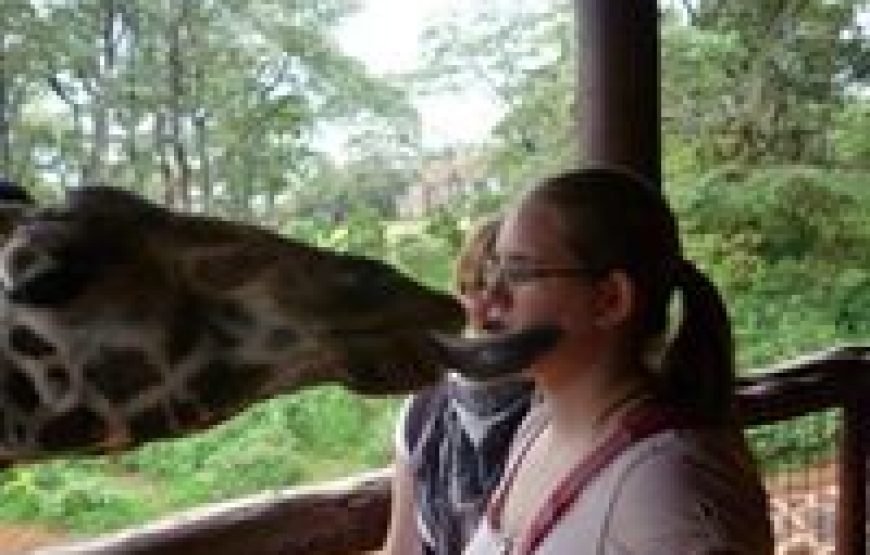 Nairobi Giraffe Centre and Karen Blixen Museum Safari – Half Day