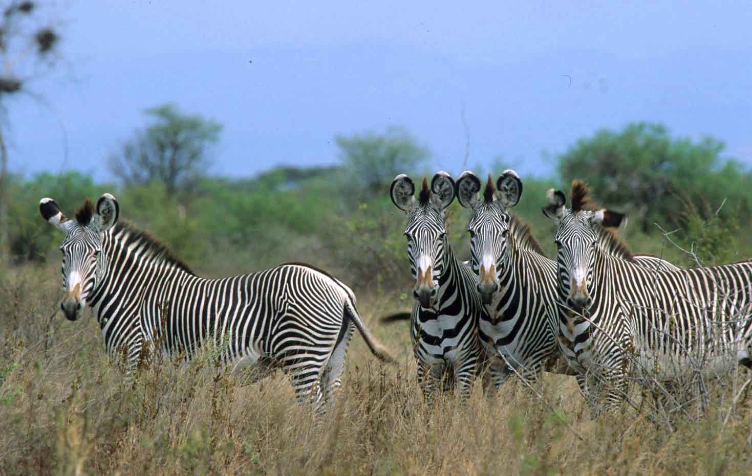 Day 4: Final Meru Experience and Departure