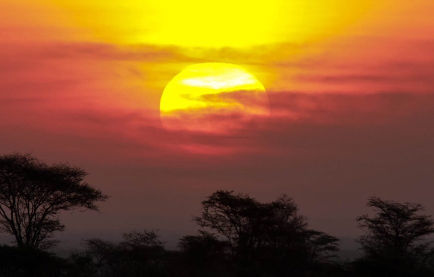 3 Days / 2 Nights Meru National Park Safari