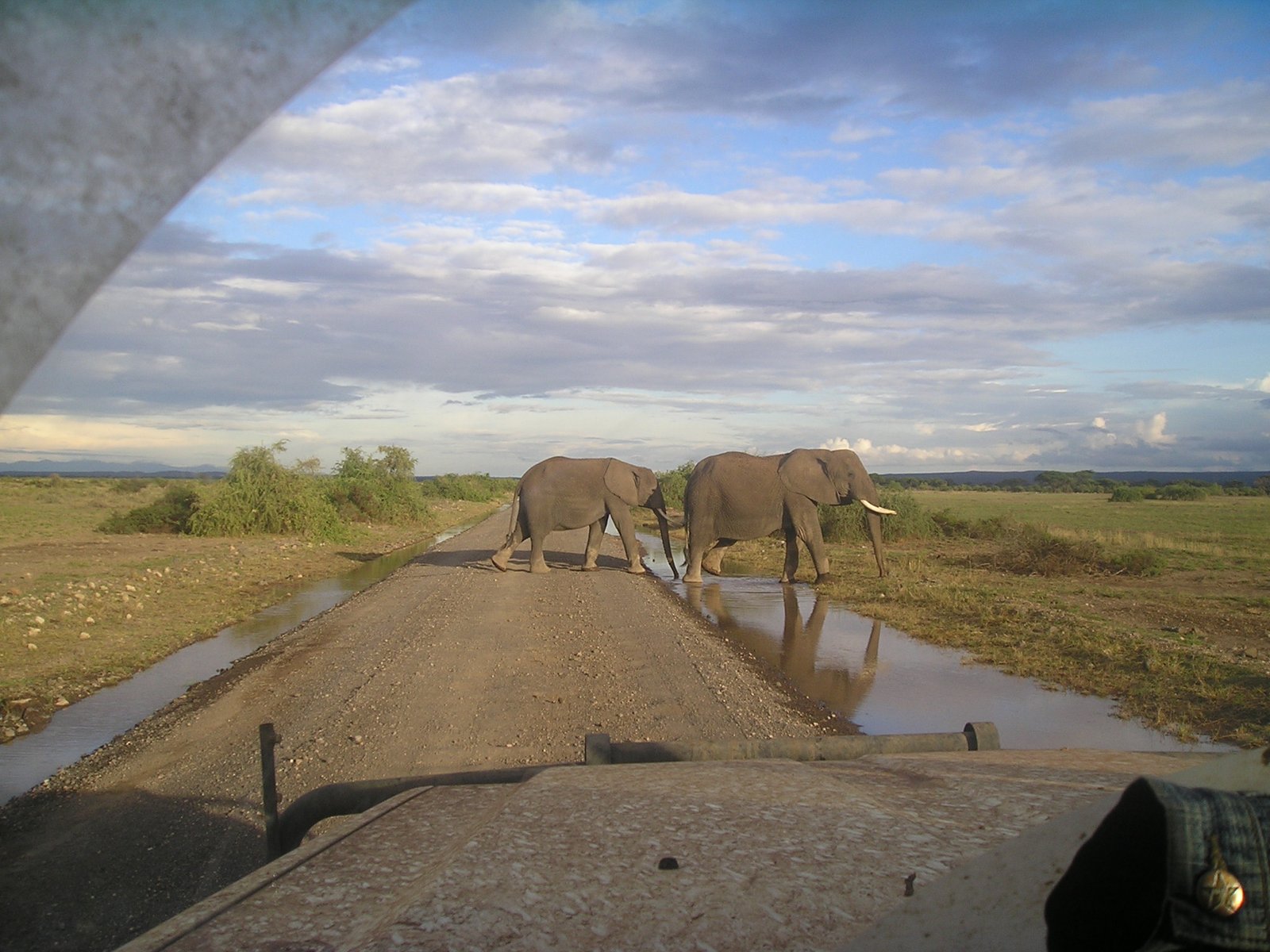 Day 8: Amboseli National Park