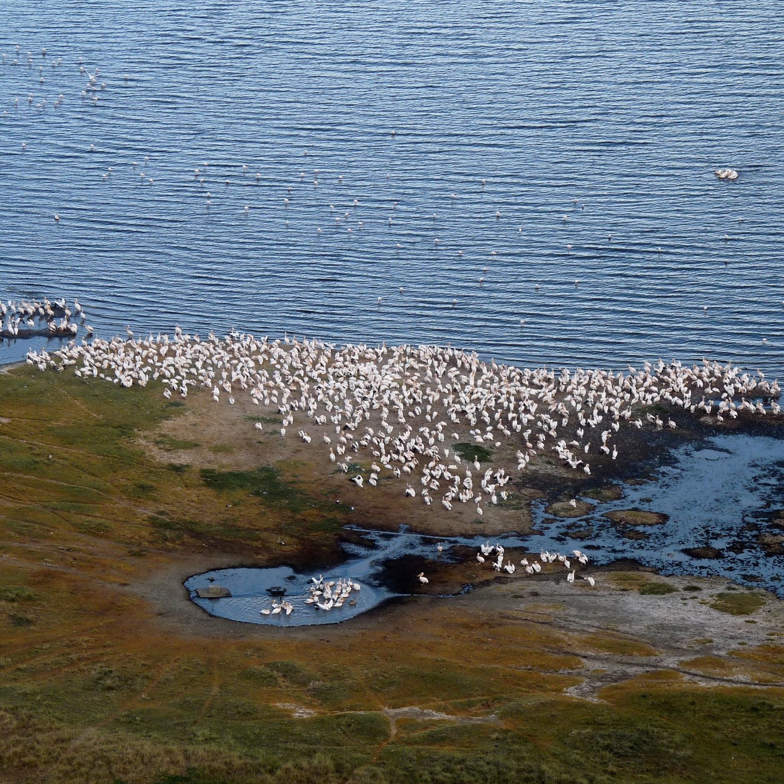 Day 4: Aberdare to Lake Nakuru National Park