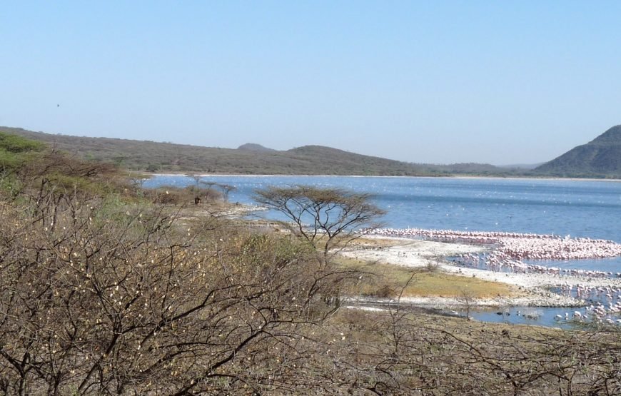 3 Days / 2 Nights Lake Naivasha and Lake Nakuru Safari