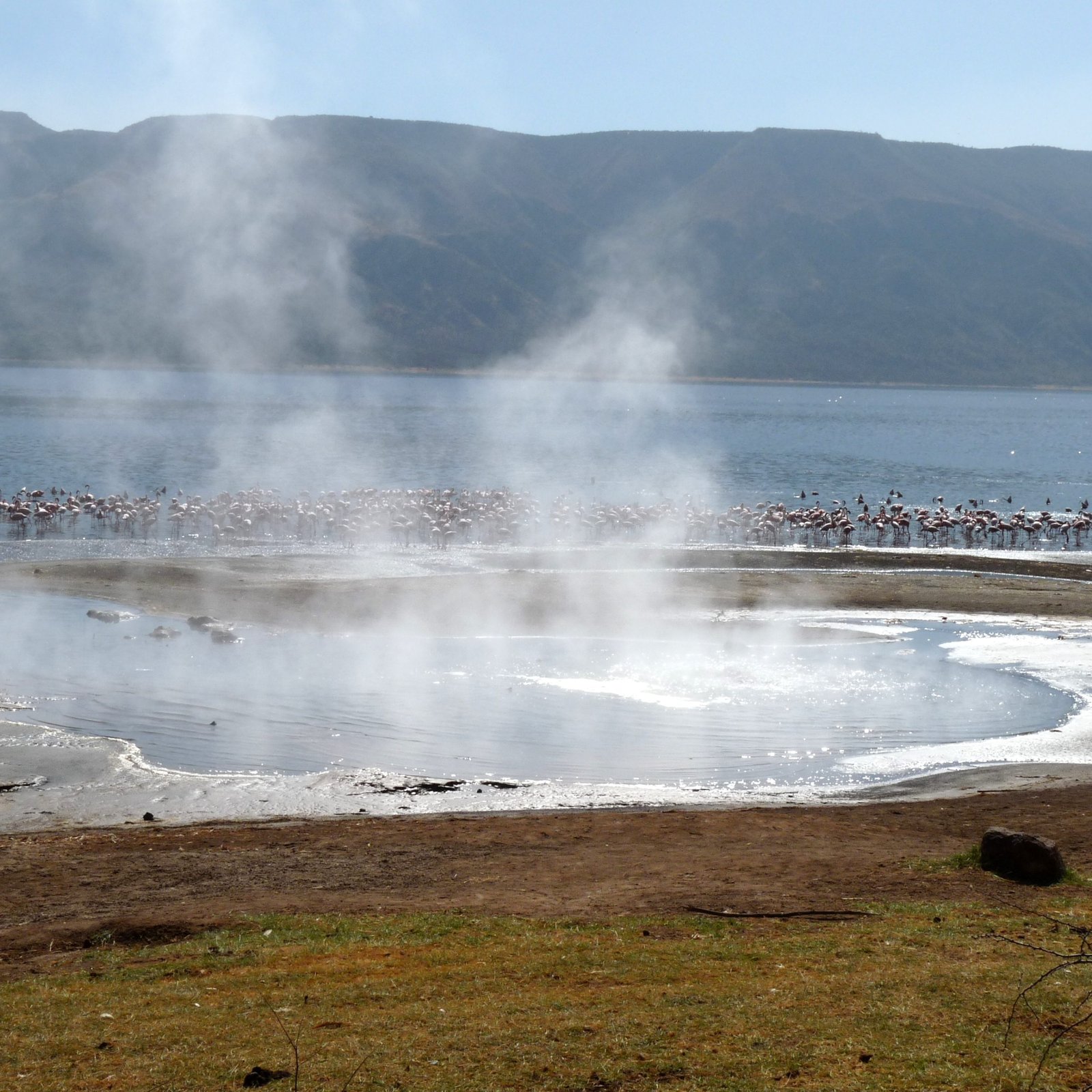 Day 7: Samburu to Lake Naivasha