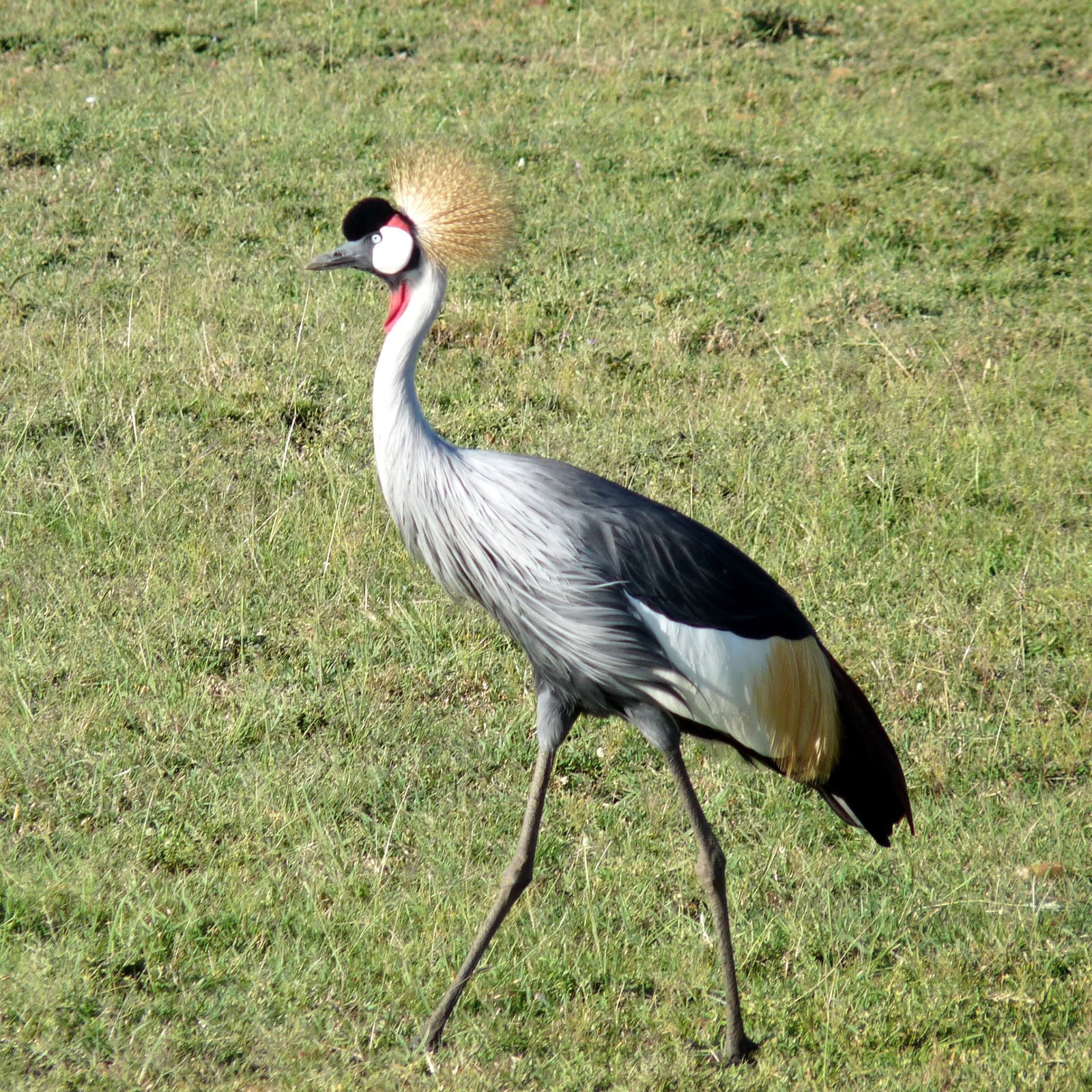 Day 1: Arrival in Nairobi