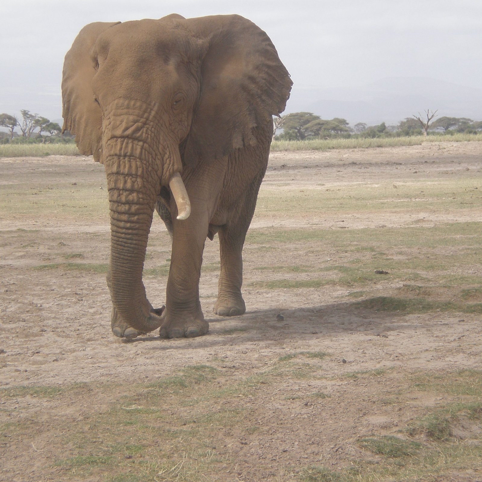 Day 2: Full Day in Samburu National Reserve