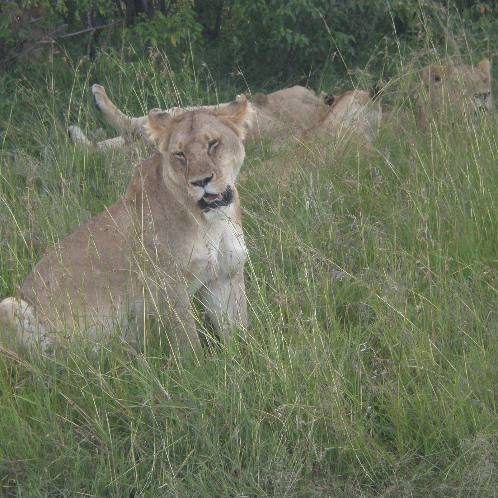 Day 1: Arrival in Nairobi