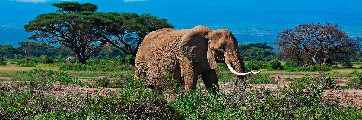 Day 12: Farewell to Kenya