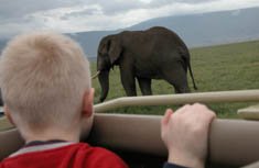 Day 3: Full Day in Amboseli