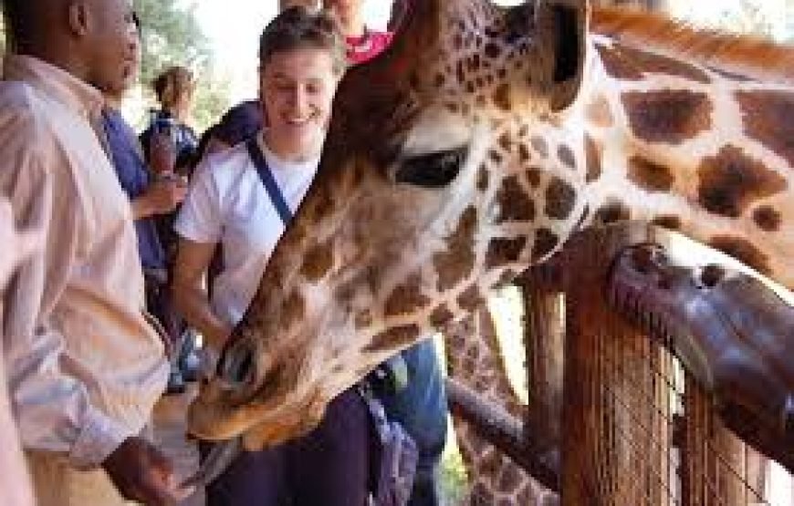 8 Days / 7 Nights Kenyan Family Safari Holiday
