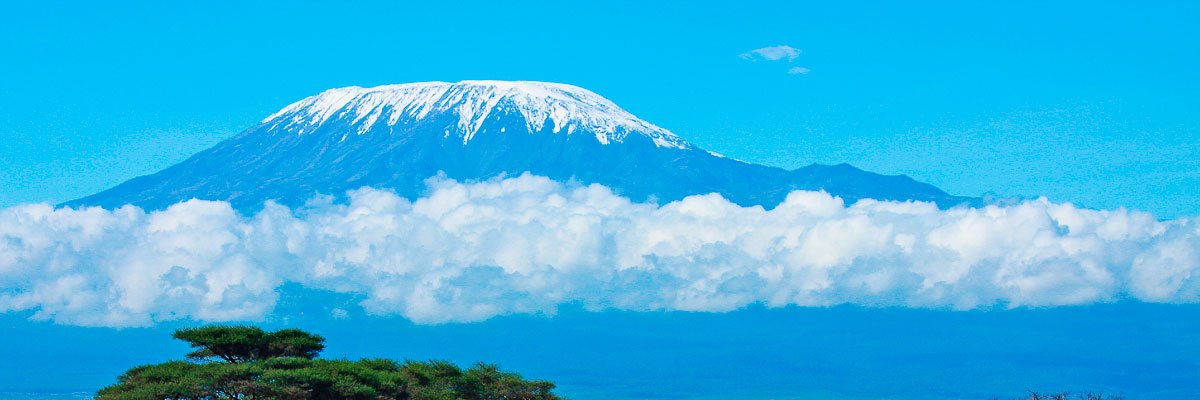 Day 2: Amboseli National Park - In the Shadow of Kilimanjaro