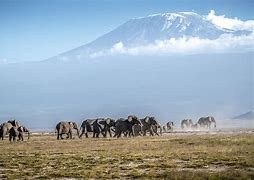 Day 2: Mount Kenya National Park to Nairobi