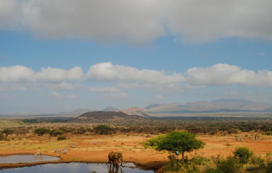 4 Days / 3 Nights Tsavo East and Amboseli Safaris from Nairobi