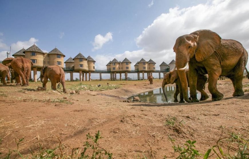 3 Days / 2 Nights Taita Hills Wildlife Sanctuary Safari