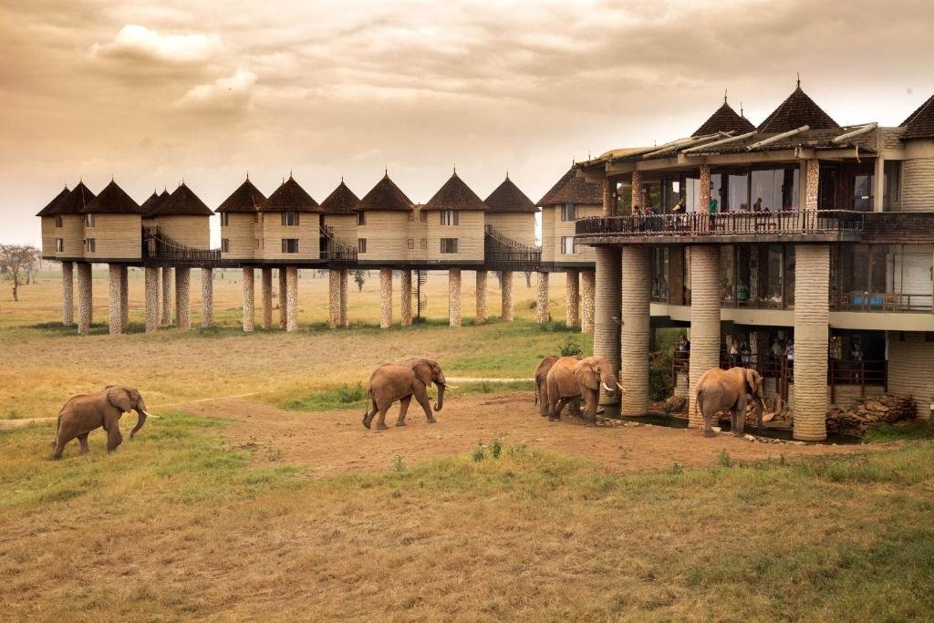 Day 1: Nairobi to Taita Hills Wildlife Sanctuary