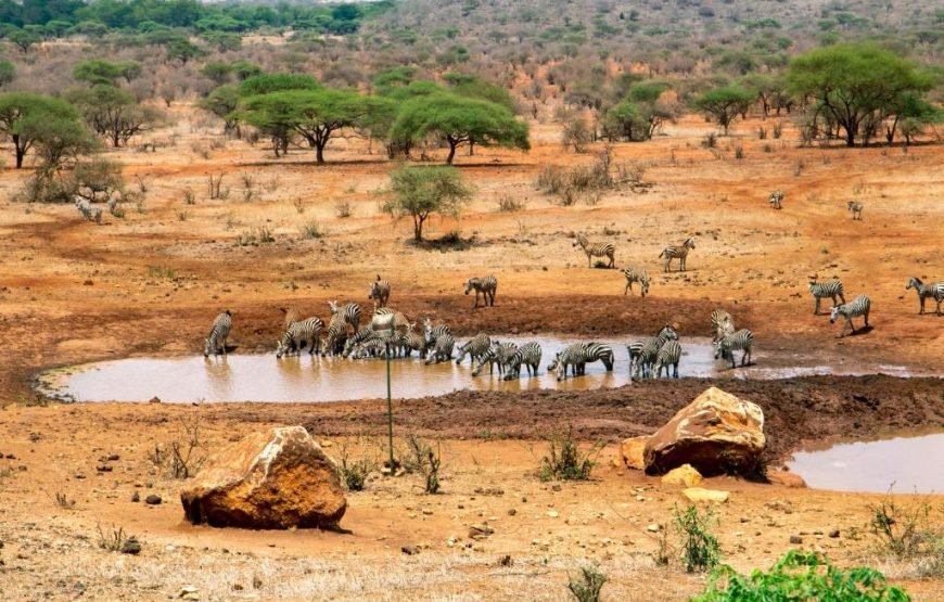 3 Days / 2 Nights Tsavo West Safari from Nairobi