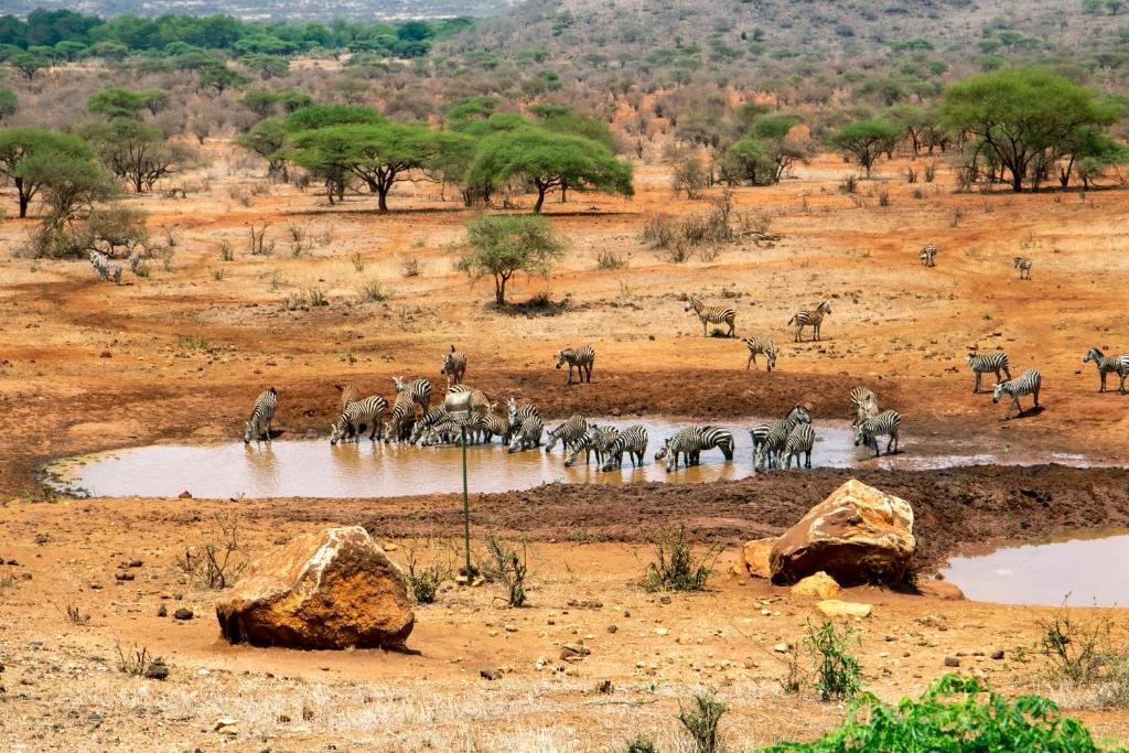 Day 1: Nairobi to Tsavo East National Park