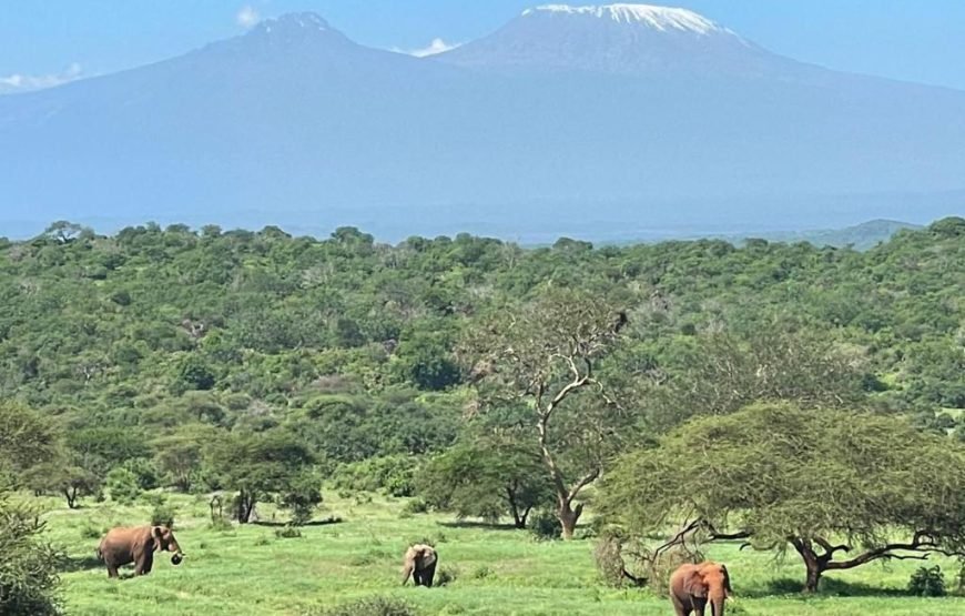 3 Days / 2 Nights Tsavo West Safari from Nairobi