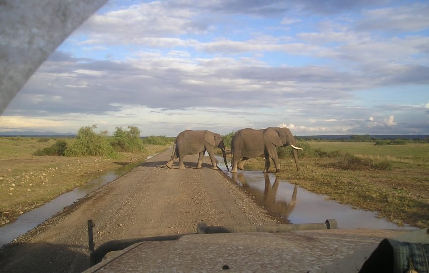 6 Days / 5 Nights Safari to Tsavo East, Amboseli, Lake Naivasha, and Masai Mara from Nairobi