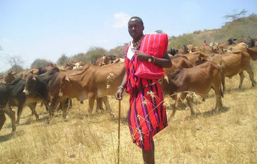 6 Days / 5 Nights Safari to Tsavo East, Amboseli, Lake Naivasha, and Masai Mara from Nairobi