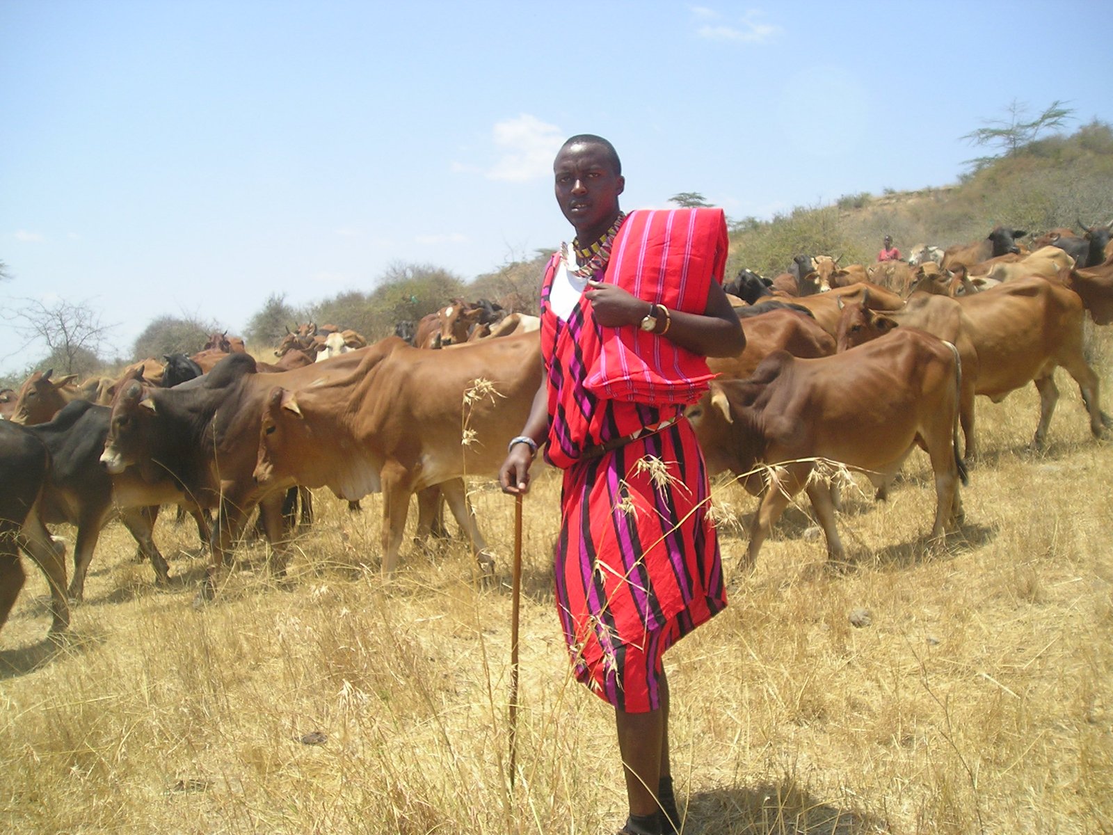 Day 3: Full Day in Samburu National Reserve