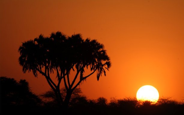 Day 2: Full Day in Samburu