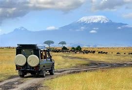 Day 2: Amboseli National Park to Nairobi
