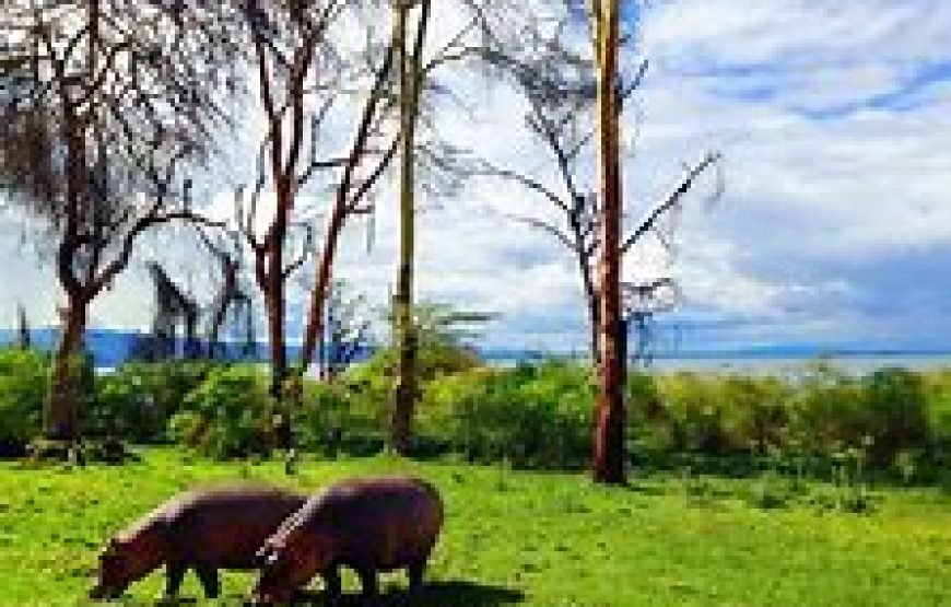 1 Night Safari to Lake Naivasha from Nairobi