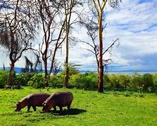 Day 1: Nairobi to Lake Naivasha