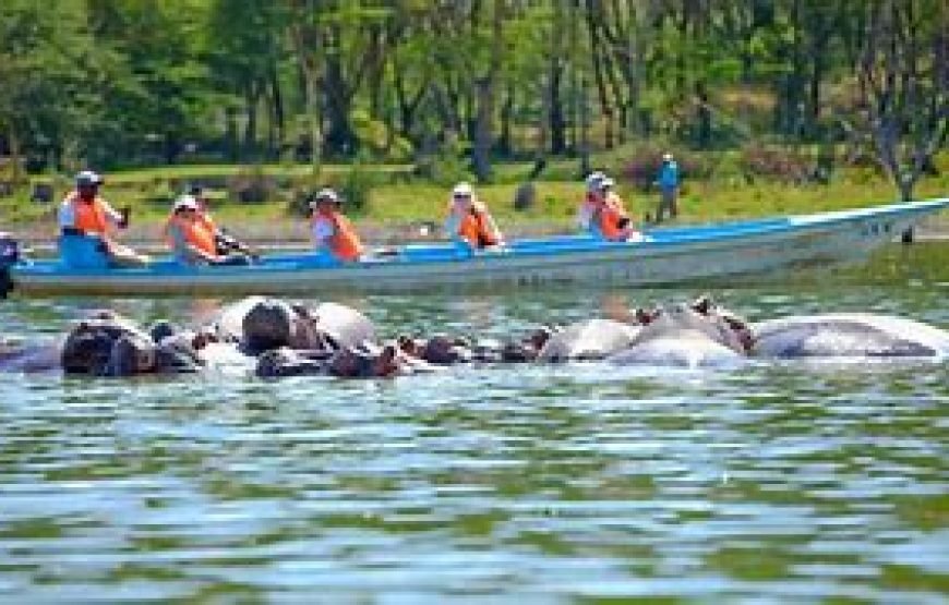 1 Night Safari to Lake Naivasha from Nairobi