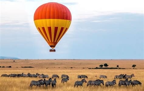 Day 6: Masai Mara to Nairobi - Departure