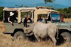 Day 2: Ol Pejeta Conservancy to Nairobi