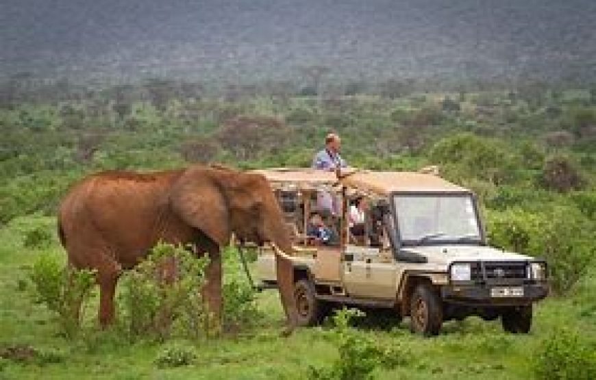 7 Days / 6 Nights Samburu, Lakes Baringo