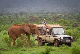 Day 4: Final Samburu Experience and Return to Nairobi