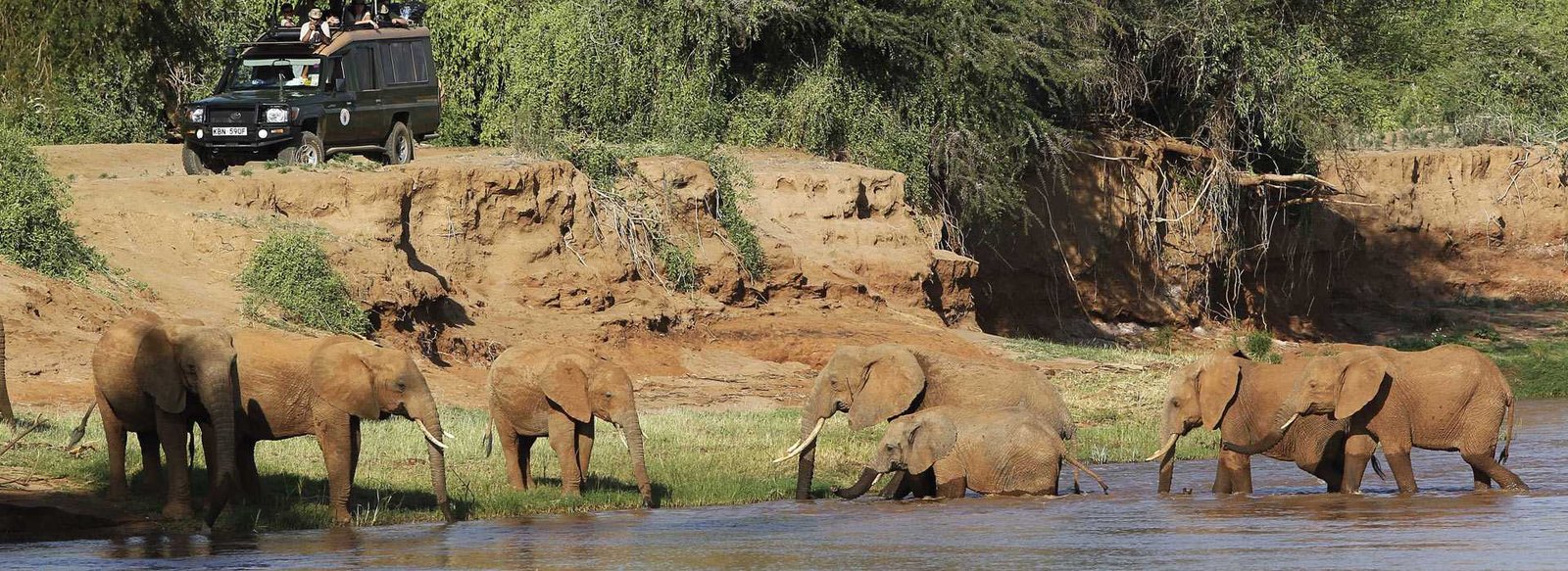 Day 3: Samburu to Nairobi