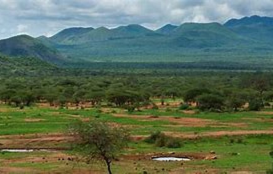 4 Days Safari from Mombasa to Tsavo West, Amboseli and Taita Hills