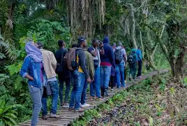 Day 2: Chimpanzee Tracking and Bigodi Wetland Sanctuary